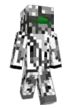 Plimk Minecraft avatar full body