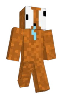 Ploop8863 Minecraft avatar full body
