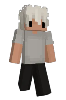 Plywood2x4 Minecraft avatar full body