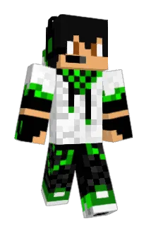 PlzDontHack Minecraft avatar full body