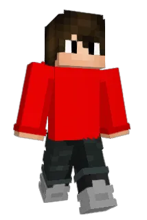 Pniokk Minecraft avatar full body