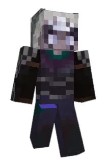 PoIarus Minecraft avatar full body