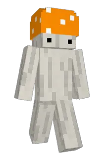 PoZiomek420 Minecraft avatar full body
