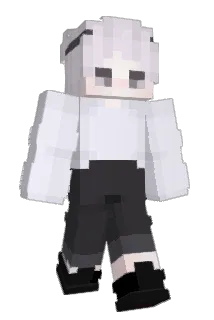 PoZorro Minecraft avatar full body