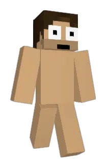 Poac Minecraft avatar full body