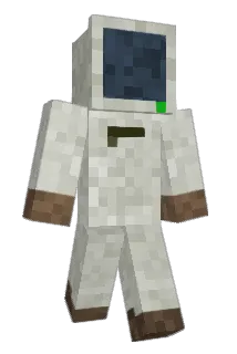 Pocci Minecraft avatar full body