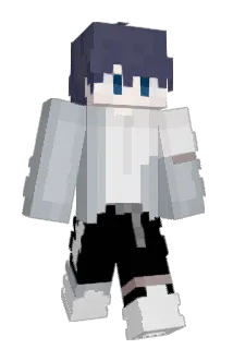 PockDavid1003 Minecraft avatar full body