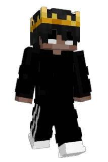 Pockerninja Minecraft avatar full body