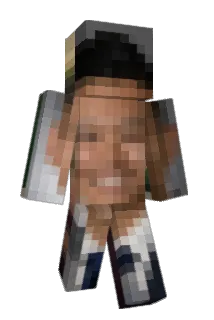 PocketWok Minecraft avatar full body