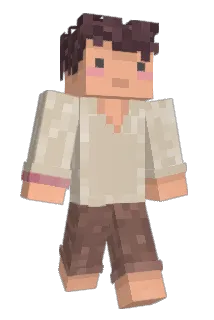 Pocketpally Minecraft avatar full body