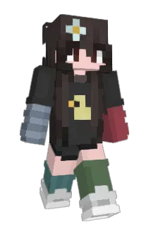 PocketsOMG Minecraft avatar full body