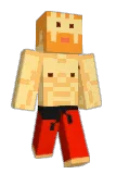 Pockettminer Minecraft avatar full body
