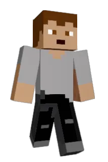 Poco_domene Minecraft avatar full body