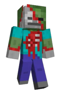 Pocok5 Minecraft avatar full body
