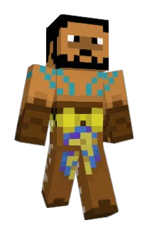 Poefster Minecraft avatar full body