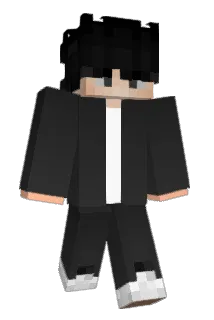 Poelseeee Minecraft avatar full body