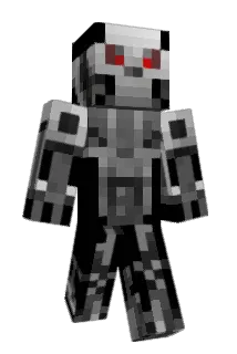 PoenixTT Minecraft avatar full body