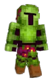 Poepbeer Minecraft avatar full body