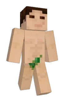 Poette_ Minecraft avatar full body