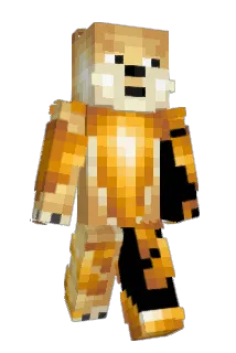 Poffertje Minecraft avatar full body