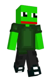 PogFamily Minecraft avatar full body
