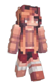 PoikCans Minecraft avatar full body
