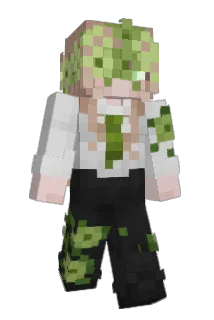 Poious Minecraft avatar full body