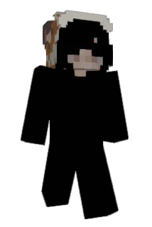 Poisewritik Minecraft avatar full body