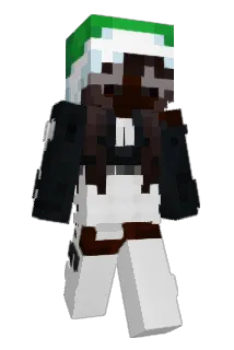 PoisonArk Minecraft avatar full body