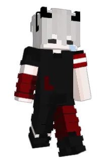 Pojemaster Minecraft avatar full body