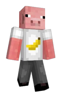 PokeDome Minecraft avatar full body