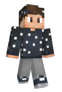 Pokedocy Minecraft avatar full body
