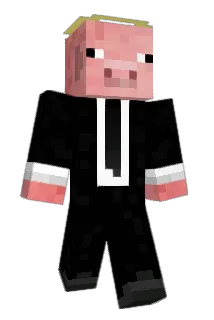 Pokego321 Minecraft avatar full body