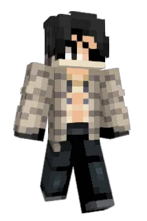 PokinZDS Minecraft avatar full body