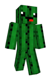 PolZar420 Minecraft avatar full body