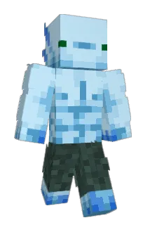 Polaflex Minecraft avatar full body