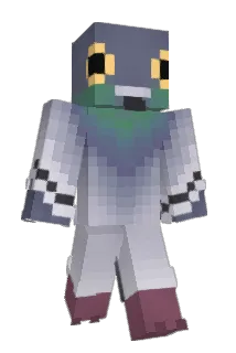 Polak1122 Minecraft avatar full body