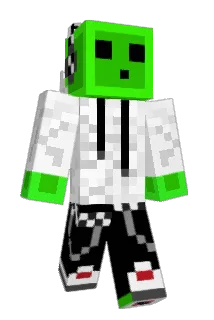 Polak2013 Minecraft avatar full body