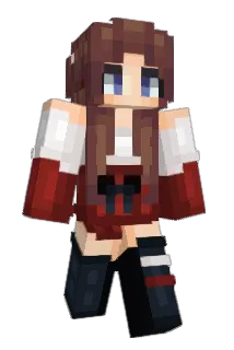 Polands Minecraft avatar full body