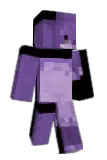 Polarzebo Minecraft avatar full body
