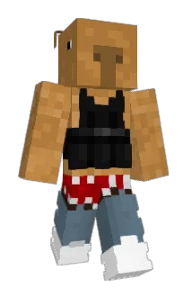Polet7 Minecraft avatar full body