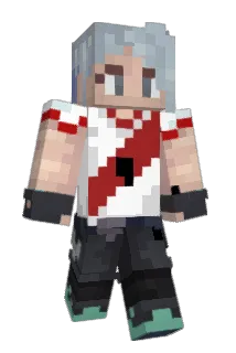 PolexDD Minecraft avatar full body