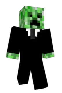 Polinerd Minecraft avatar full body