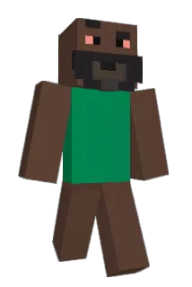 Polish Minecraft avatar full body