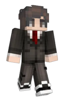 Polish_State1234 Minecraft avatar full body