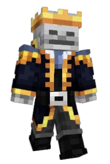 Polkister212 Minecraft avatar full body