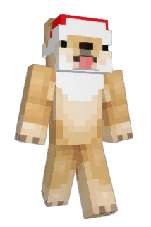 Polloarias Minecraft avatar full body
