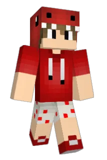 Pollomir Minecraft avatar full body