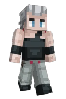 Polnaregg Minecraft avatar full body