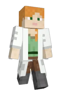 Polosel Minecraft avatar full body